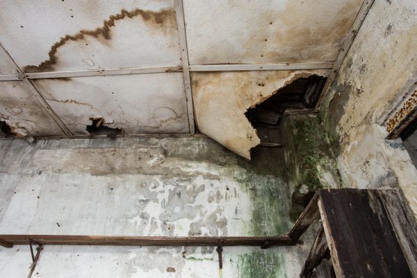Water Damage Service in Pompano Beach